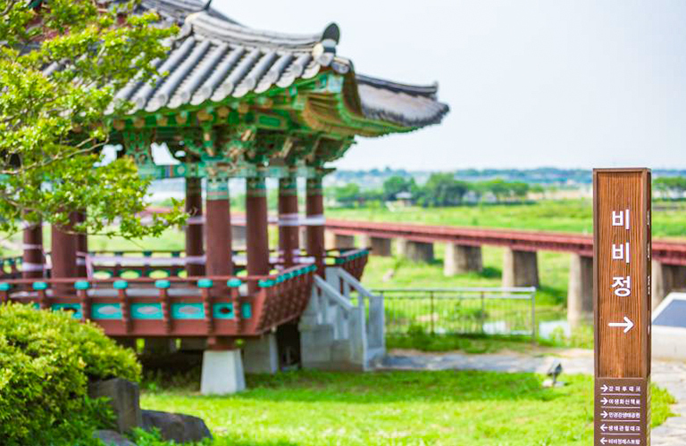 비비정