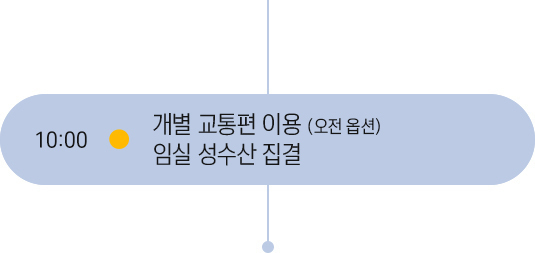 10시 일정