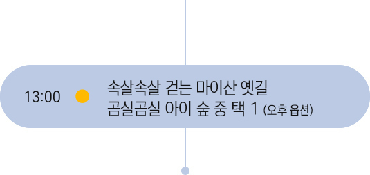 13시 일정