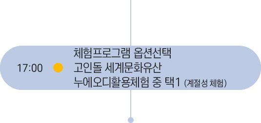 17시 일정