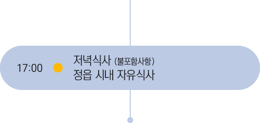 17시 일정