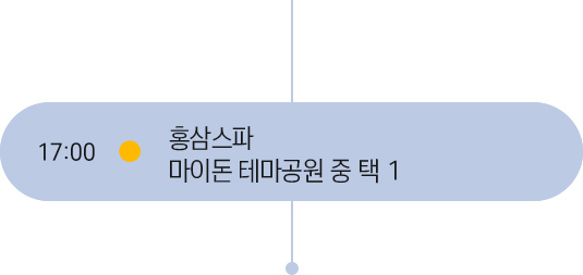 17시 일정