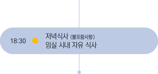 17시 일정