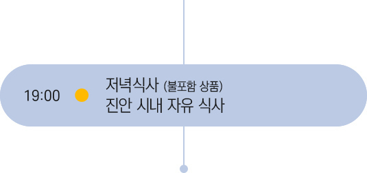 19시 일정