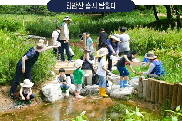 청암산 습지 탐험대