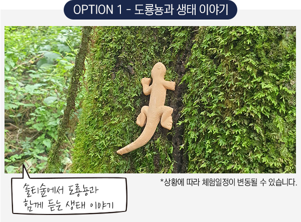 도룡뇽과 생태이야기