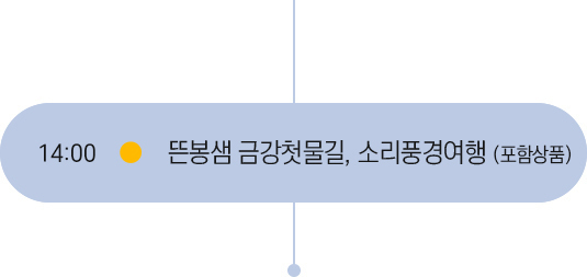 14시 일정