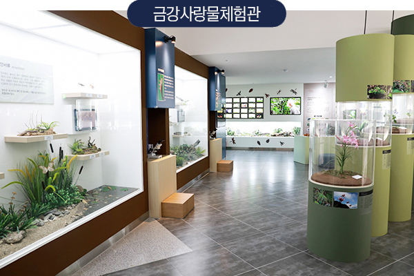 금강사랑물체험관