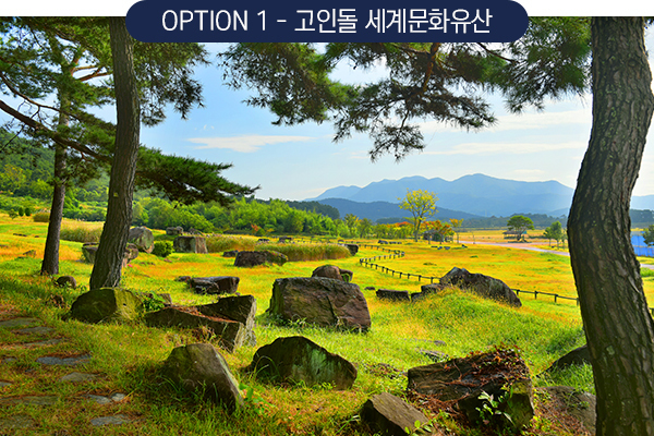 고인돌 세계문화유산