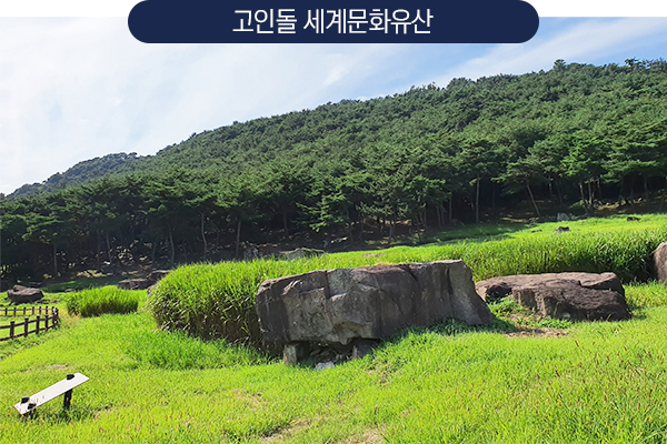 고인돌 세계문화유산