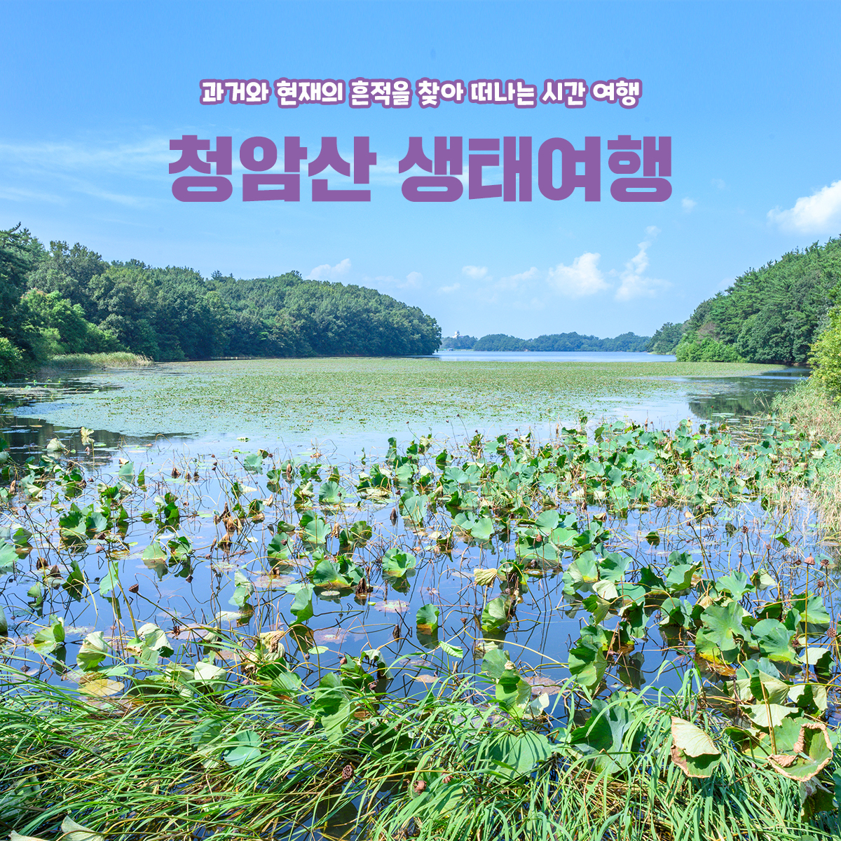 과거와 현재의 흔적을 찾아 떠나는 시간 여행, 청암산 생태여행