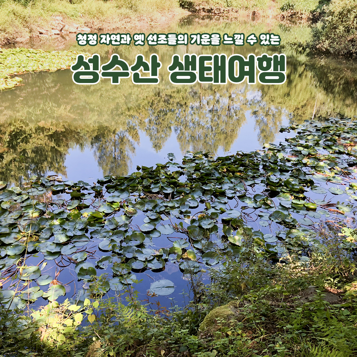 자연이 빚은 천혜의 비경을 자랑하는 성수산 생태여행