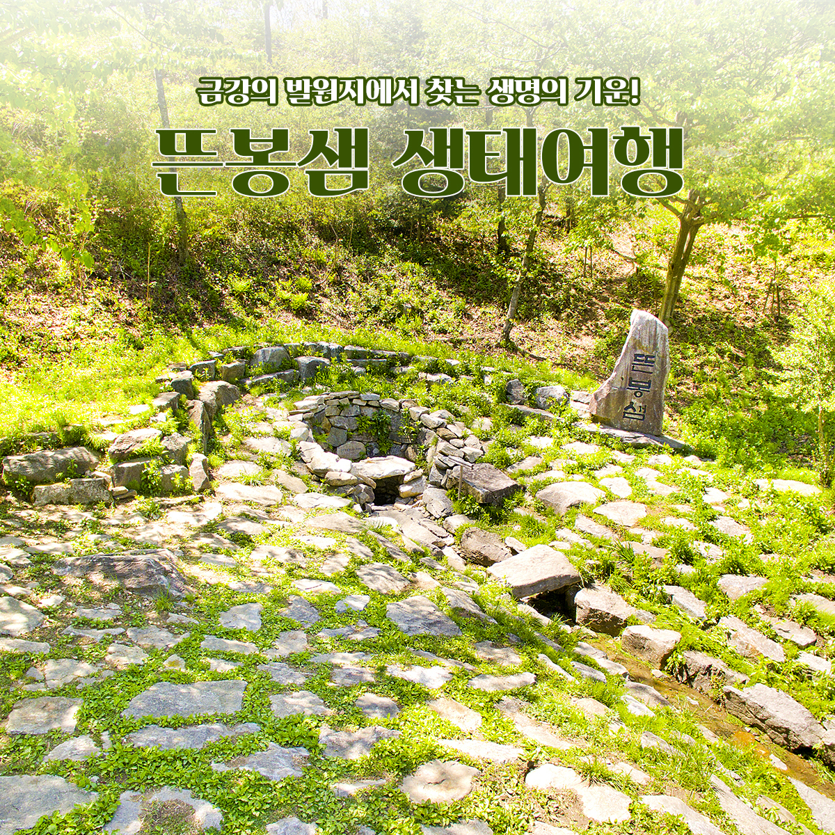 뜬봉샘 생태여행