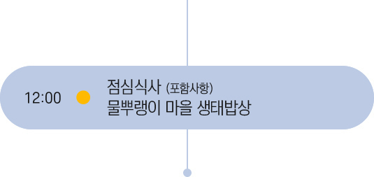 12시 일정