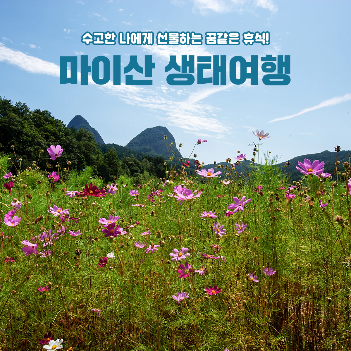 수고한 나에게 선물하는 꿈같은 휴식, 마이산 생태여행