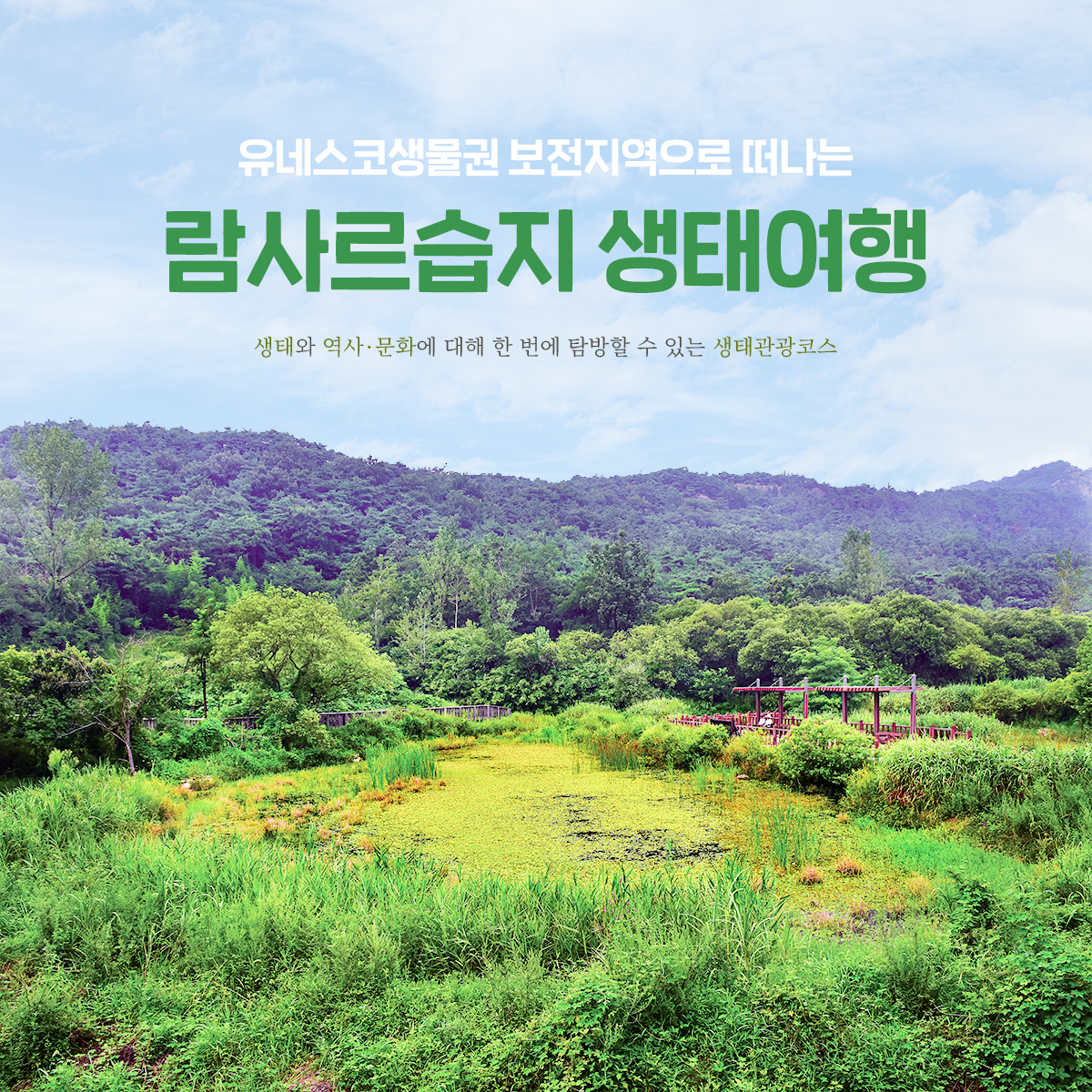 우리, 같이 걸을까 습지의 마을 - 고창 생태관광지