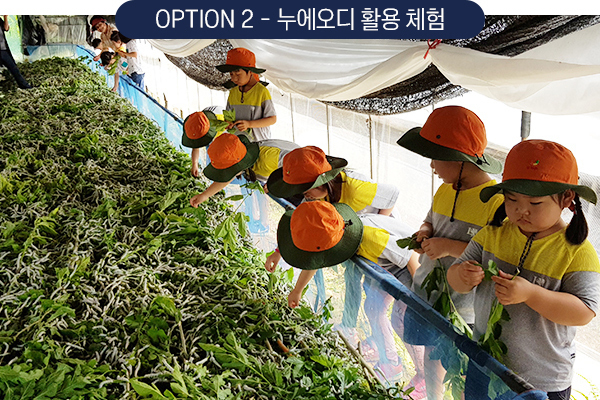 누에오디 활용 체험