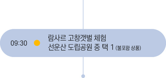 09시 30분 일정