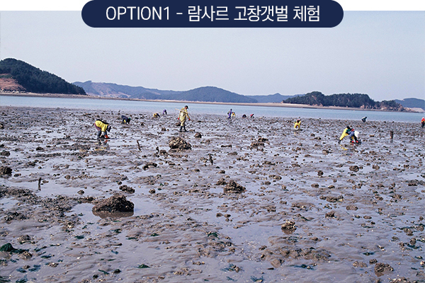 람사르 고창갯벌 체험