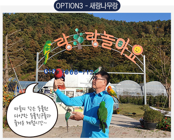 새랑나무랑