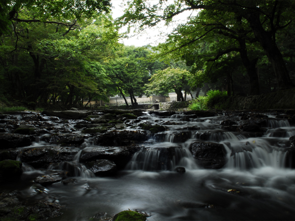 선운산 도립공원
