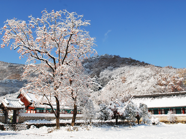 선운산 도립공원