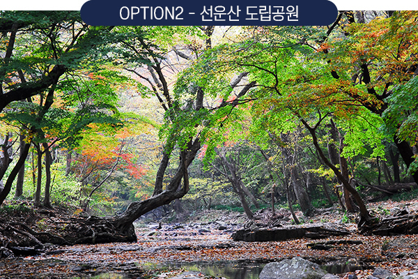 선운산 도립공원