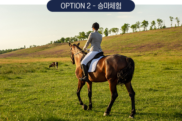 승마체험