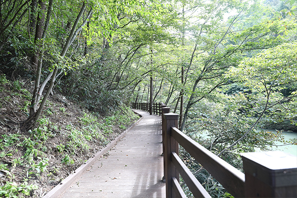 마을밥상