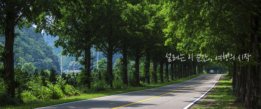 설레는 이 순간, 여행의 시작