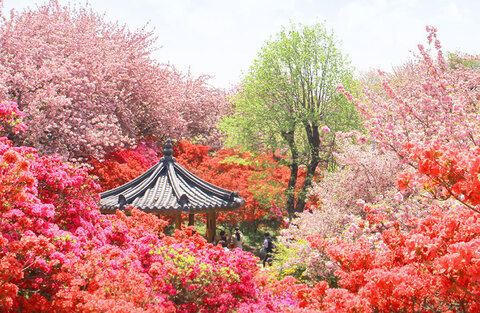 천년 전주 마실길