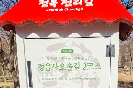 내장산 단풍 생태공원