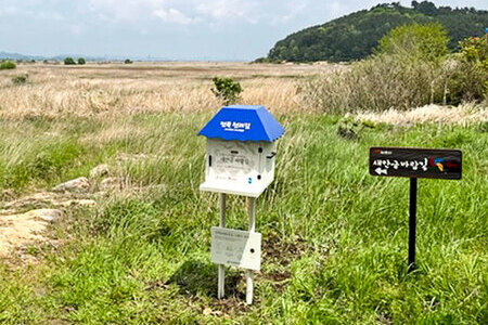 전선포